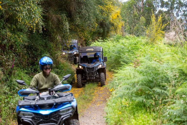 3 Can-Am buggys through a tree-lined dirt path amid lush greenery and yellow flowers, during a Let's Buggy's half day Explorers tour experience in Madeira.
