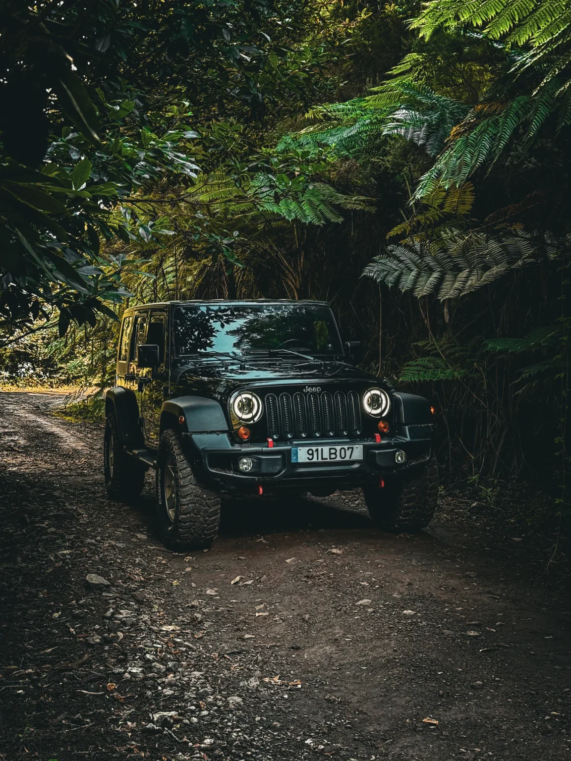Black jeep rubicon with off-road tires parked on a narrow dirt trail surrounded by dense green foliage and ferns in madeira forest, creating a dramatic adventure-ready scene.A Jeep tour experience by Sea La Vie Mountain Expedition.