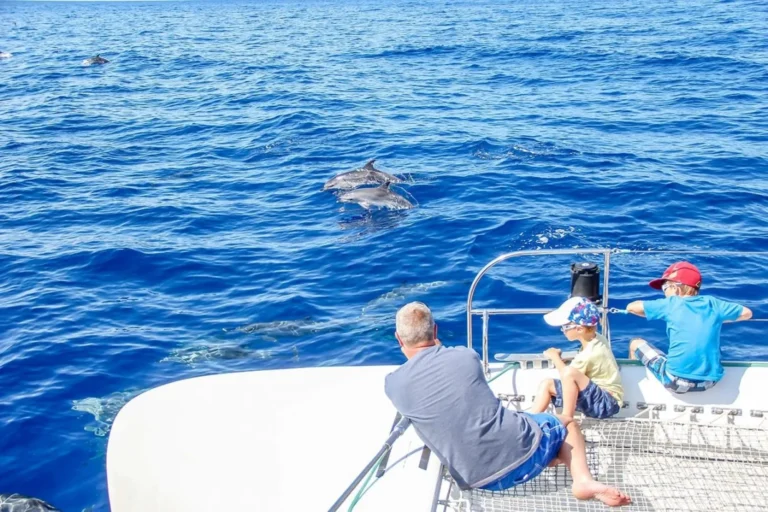 A man with his childern watching dolphins in a Catamaran a VMT Madeira experience.