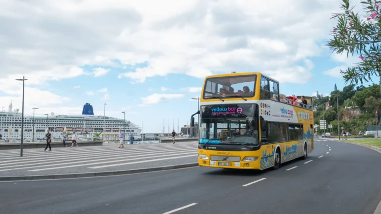An Hop-on Hop-off Bus near Funchal marina with a cruise ship on the back, an experience by Carristur.