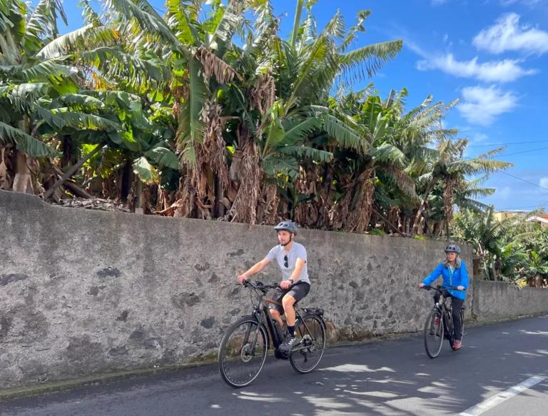 Two people riding e-bikes on a sunny road beside tall green banana trees, enjoying an E-Bike Road Tour, an experience by MADcycle
