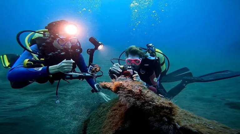 2 Scuba divers with cameras watching a fish underwater in a diving experience by Scorpio Madeira