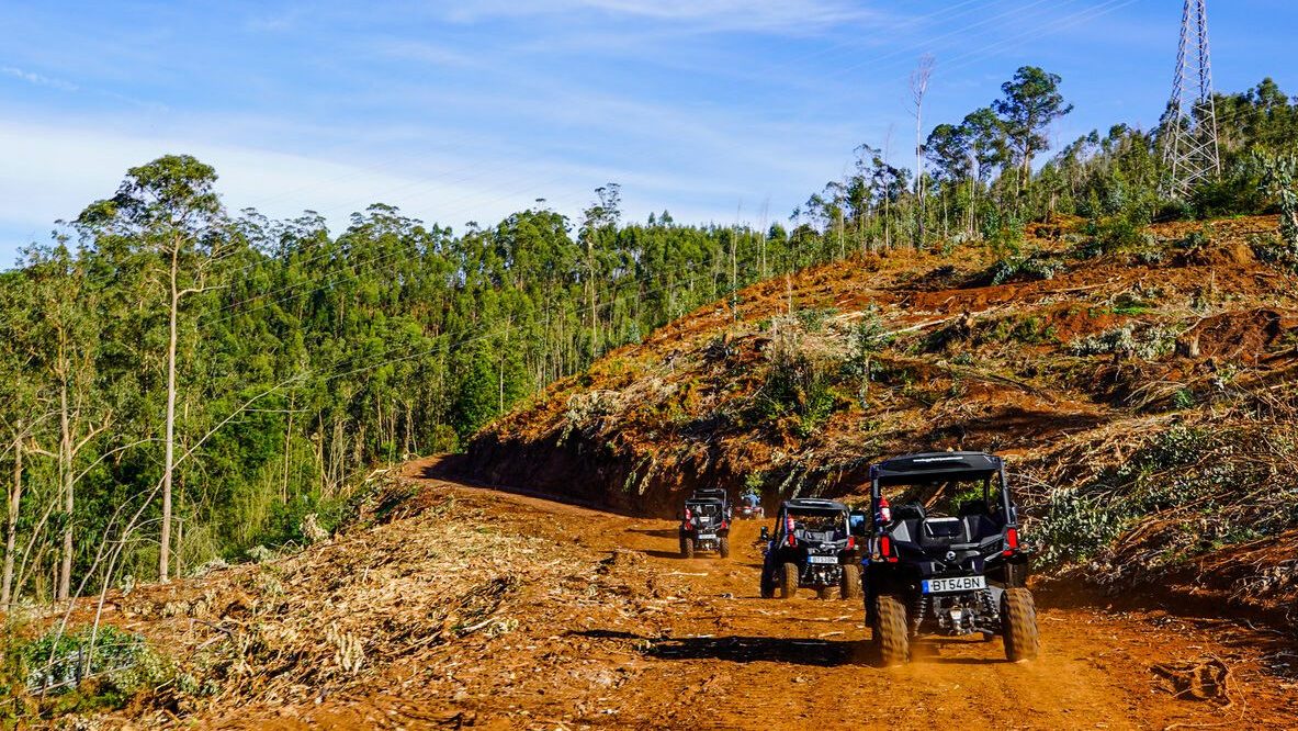 Which Buggy Tour in Madeira Is Right for You 2 Buggies driving in a line along a wide red-dirt mountain track, surrounded by green forest and clear blue sky during an off-road buggy tour in Madeira by Buggy Funtrip Madeira.