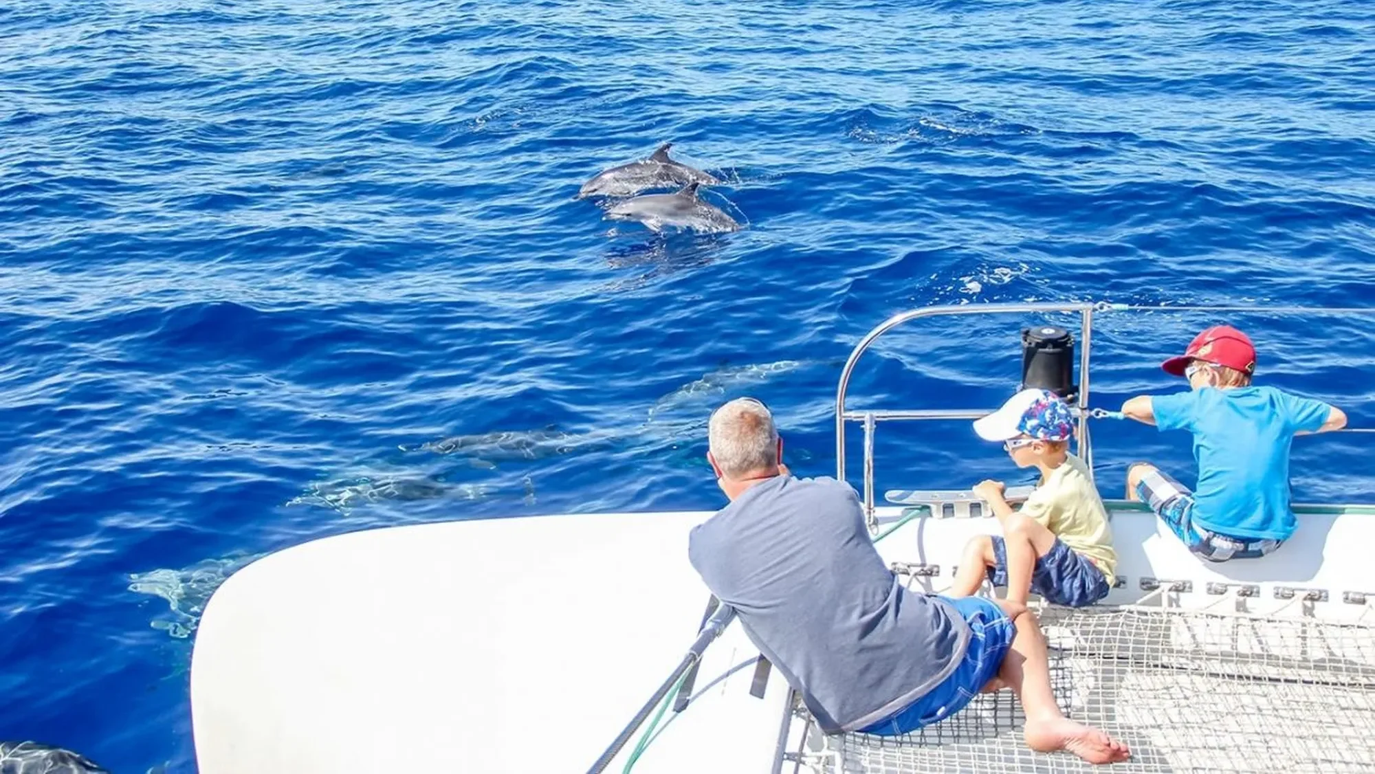 Canyoning in Madeira, A Practical Guide 7 A man with his childern watching dolphins in a Catamaran a VMT Madeira experience.