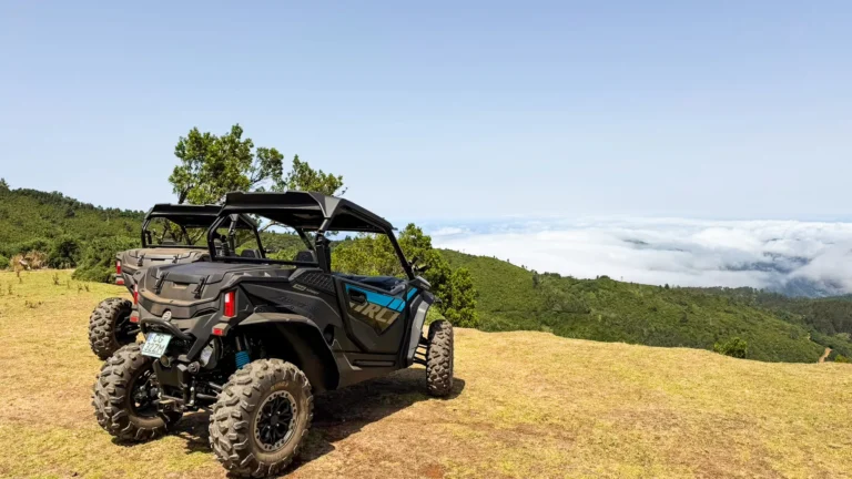 Madeira Mountain Views buggy tour, Santo da Serra and Lombo das Faias