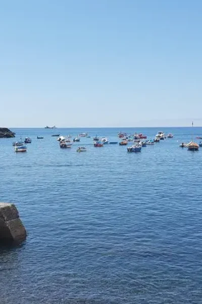 Tuk tuk tour from Funchal to Câmara de Lobos, Madeira