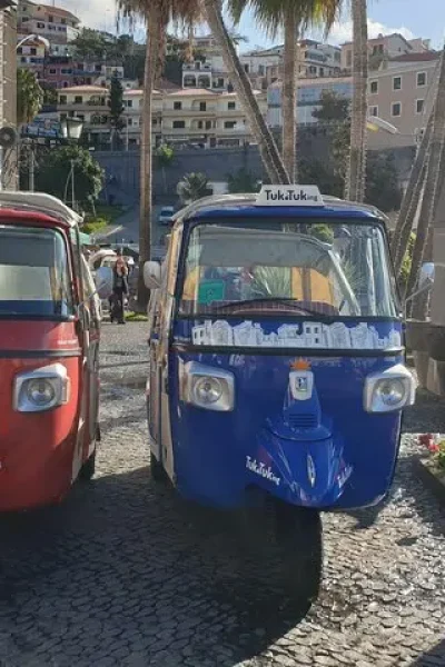 Tuk tuk tour from Funchal to Câmara de Lobos, Madeira