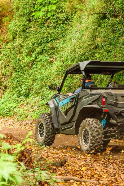 Madeira Mountain Views buggy tour, Santo da Serra and Lombo das Faias