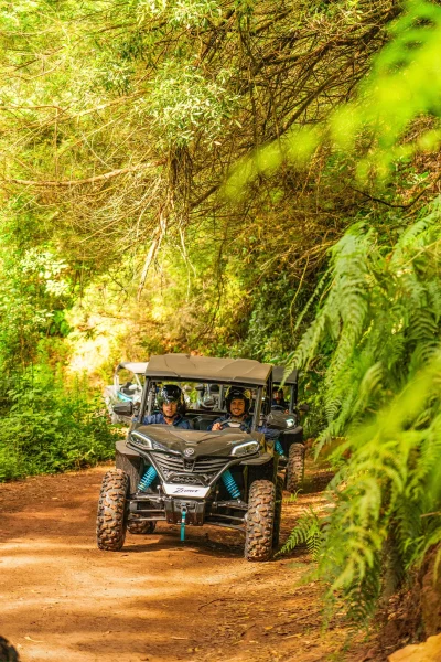 Madeira Mountain Views buggy tour, Santo da Serra and Lombo das Faias