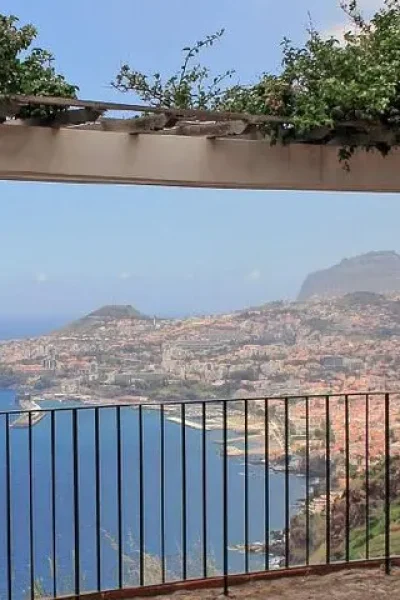 View over Funchal bay and the city through a flower-covered pergola at a roadside viewpoint