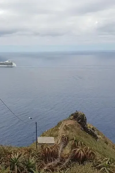 Cruise ship on the horizon seen from a clifftop viewpoint, with an agave-covered headland below