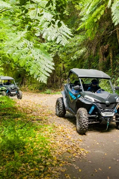 Madeira Mountain Views buggy tour, Santo da Serra and Lombo das Faias