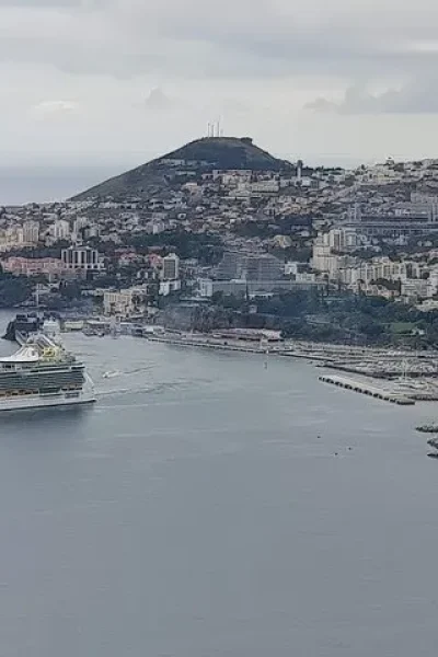 Cruise ship moored in Funchal harbour seen from above, with the city rising up the hillside behind