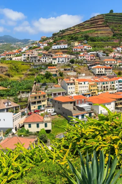 Funchal houses one of the stops views of the Hop-on Hop-off Bus experience by Carristur