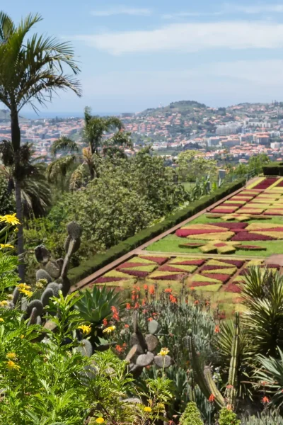 Madeira Botanical Garden one of the stops of the Hop-on Hop-off Bus experience by Carristur