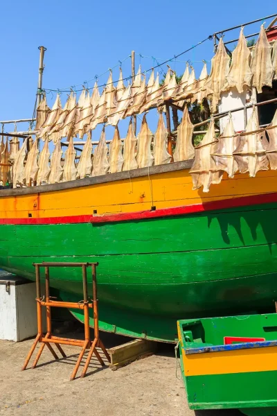 Câmara de Lobos traditional boat with Gata dried fish, one of the stops of the Hop-on Hop-off Bus experience by Carristur