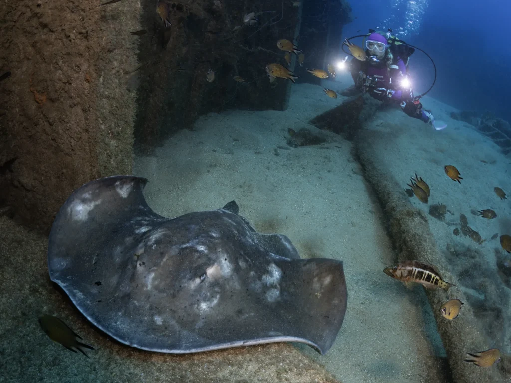 eversoul-diving-with-stingrays-01