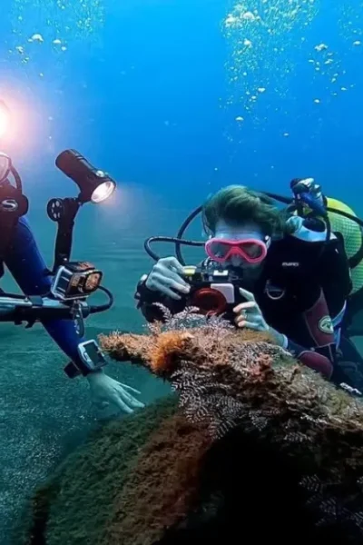 scorpio-madeira-double-dive-by-boat-36