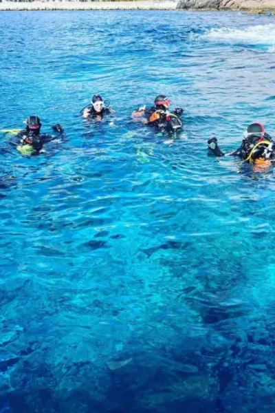 scorpio-madeira-double-dive-by-boat-35
