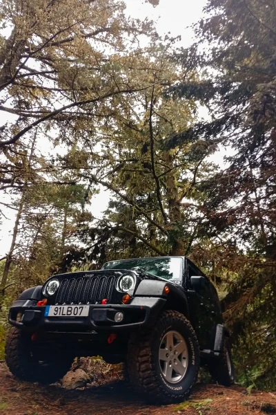 Black Jeep Wrangler with off-road tires parked on a muddy trail in Madeira’s Laurissilva forest, surrounded by tall mossy trees and dense green woodland. A Jeep tour experience by Sea La Vie Mountain Expedition.