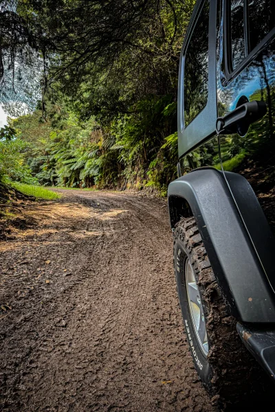 Close-up side view of a muddy Jeep tire on a forest dirt track in Madeira, with lush green vegetation and trees lining the winding off-road trail ahead. A Jeep tour experience by Sea La Vie Mountain Expedition.