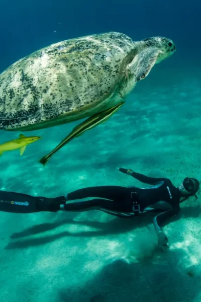 scorpio-madeira-course-basic-freediving-course-36