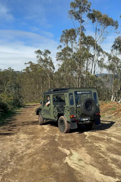 madeira-offroad-experience-forest-drive-3