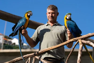 A bid keeper holding two Blue-throated Macaws at Ilha das Aves bird park.