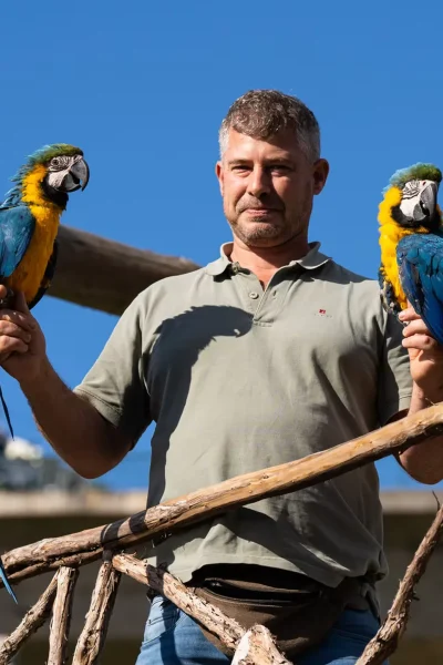 A bid keeper holding two Blue-throated Macaws at Ilha das Aves bird park.
