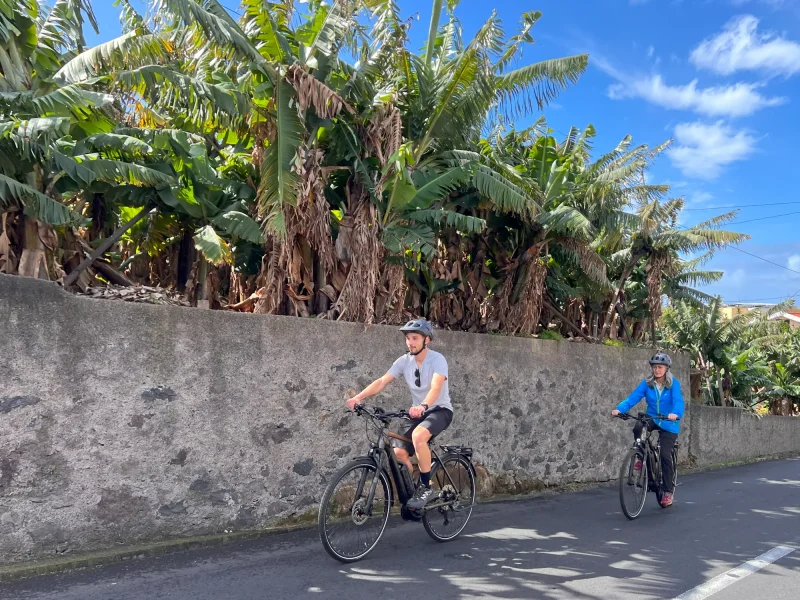 Two people riding e-bikes on a sunny road beside tall green banana trees, enjoying an E-Bike Road Tour, an experience by MADcycle