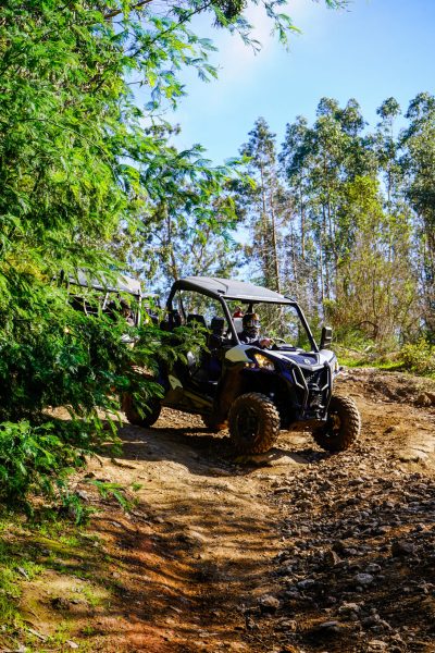 Buggy driving down a rocky forest slope, emerging from behind lush green trees during an off-road buggy tour trail in Madeira by Buggy Funtrip Madeira.