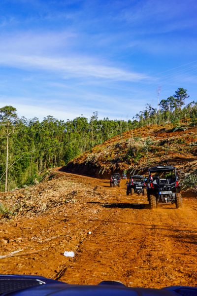 Buggies driving in a line along a wide red-dirt mountain track, surrounded by green forest and clear blue sky during an off-road buggy tour in Madeira by Buggy Funtrip Madeira.