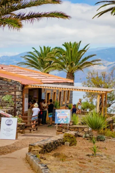 scorpio-madeira-madeira-full-day-dive-pack-32