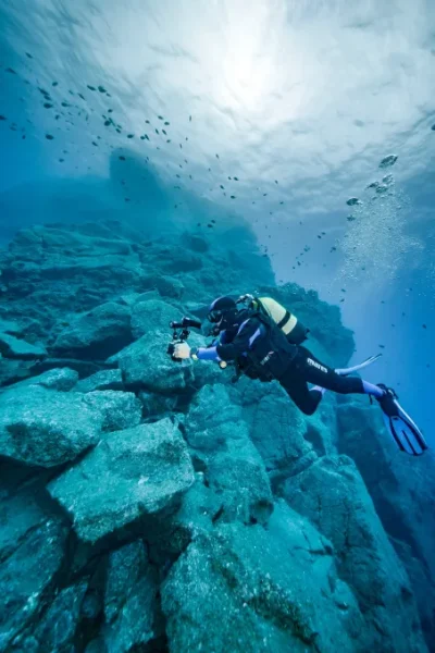 scorpio-madeira-double-dive-by-boat-53