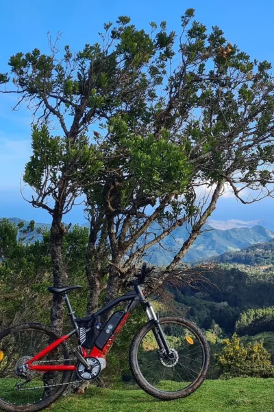 E-bike parked under a lone tree with sweeping mountain and ocean views on the Levada da Camacha Trail by E-Bike, an experience by Madeira Island Route.