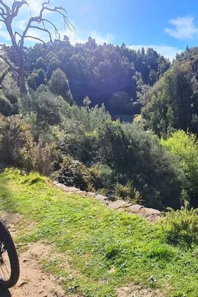 -bike resting on a sunny dirt path overlooking a lush forested valley on the Levada da Camacha Trail by E-Bike, an experience by Madeira Island Route.