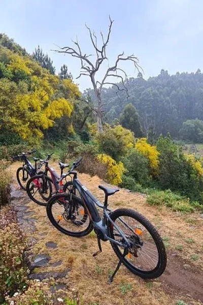 E-bike parked on a sunny levada path with sweeping views over a lush green valley on the Levada da Camacha Trail by E-Bike, an experience by Madeira Island Route.
