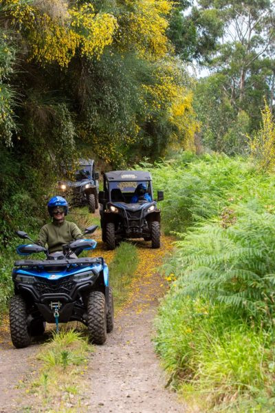 Three off‑road vehicles from Let’s Buggy wind along a narrow dirt trail framed by lush ferns and yellow broom flowers, somewhere between Levada of Rocha Vermelha, the Rabaçal viewpoint, Paul da Serra, and Arco da Calheta on Madeira Island, during a Let's Buggy's Trail Thrill experience in Madeira.