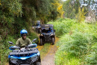 3 Can-Am buggys through a tree-lined dirt path amid lush greenery and yellow flowers, during a Let's Buggy's half day Explorers tour experience in Madeira.