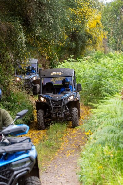 3 Can-Am buggys through a tree-lined dirt path amid lush greenery and yellow flowers, during a Let's Buggy's half day Explorers tour experience in Madeira.