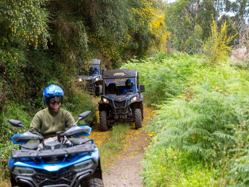 3 Can-Am buggys through a tree-lined dirt path amid lush greenery and yellow flowers, during a Let's Buggy's half day Explorers tour experience in Madeira.