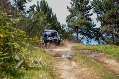 A Let’s Buggy off-road vehicle speeds along a puddle of dirt water track lined with lush green ferns and bright yellow broom flowers, during a Let's Buggy's Trail Thrill experience in Madeira.