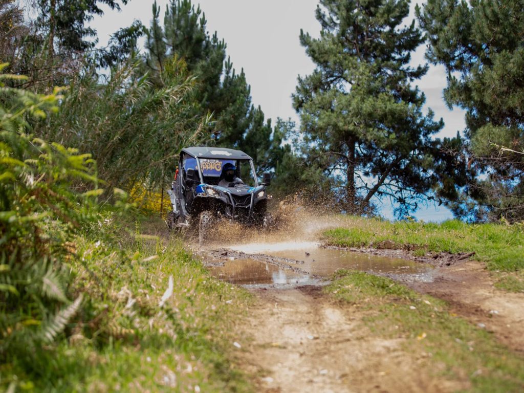 A Let’s Buggy off-road vehicle speeds along a puddle of dirt water track lined with lush green ferns and bright yellow broom flowers, during a Let's Buggy's Trail Thrill experience in Madeira.