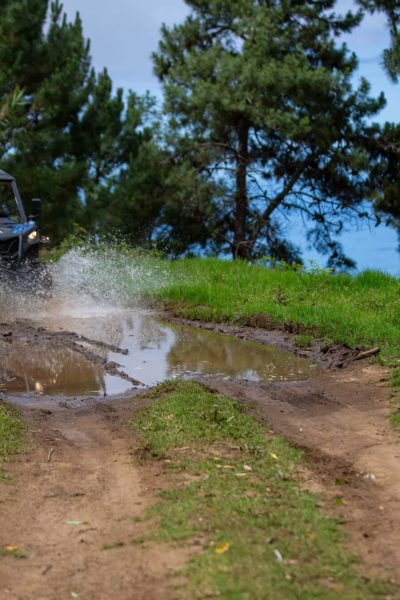 A blue Let’s Buggy Can-Am Maverick buggy splashes through a muddy puddle on a grassy off-road path, surrounded by pine trees and distant ocean views in Madeira’s forested interior, during a Let's Buggy's Happy Hour Tour experience in Madeira.
