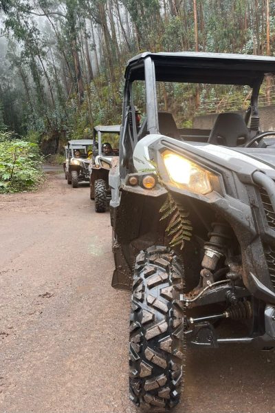 Line of muddy buggies driving through a misty eucalyptus forest, headlights on as they follow a wet mountain road during an off-road tour in Madeira by Buggy Funtrip Madeira.