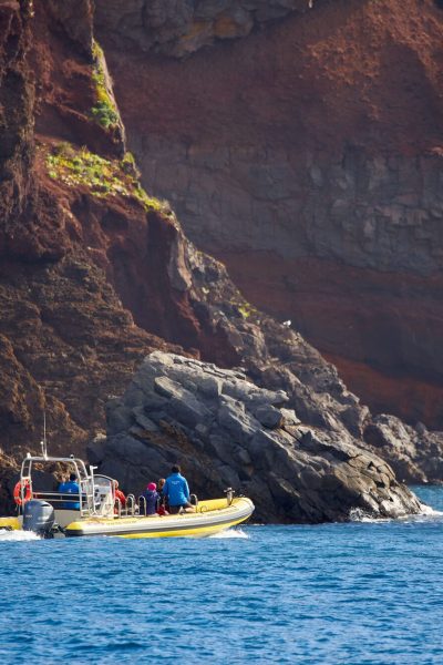 A yellow Madeira Sea Emotions RIB boat with passengers and a guide in orange cruises past red volcanic cliffs at Ponta de São Lourenço, kicking up a wake in the blue waters.