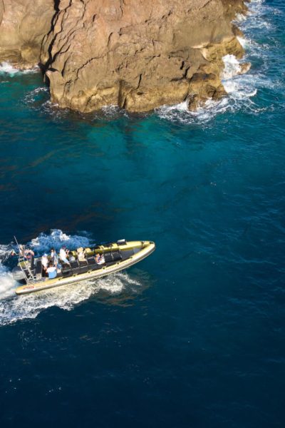 A boat leaves a white wake across blue waters off Ponta de São Lourenço's , sunlit volcanic cliffs, a boat tour experience by Madeira Sea Emotions.