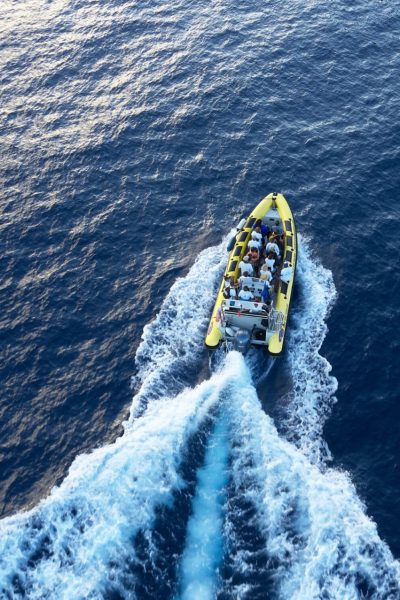 A boat leaves a white wake across blue waters off Ponta de São Lourenço's, a boat tour experience by Madeira Sea Emotions.