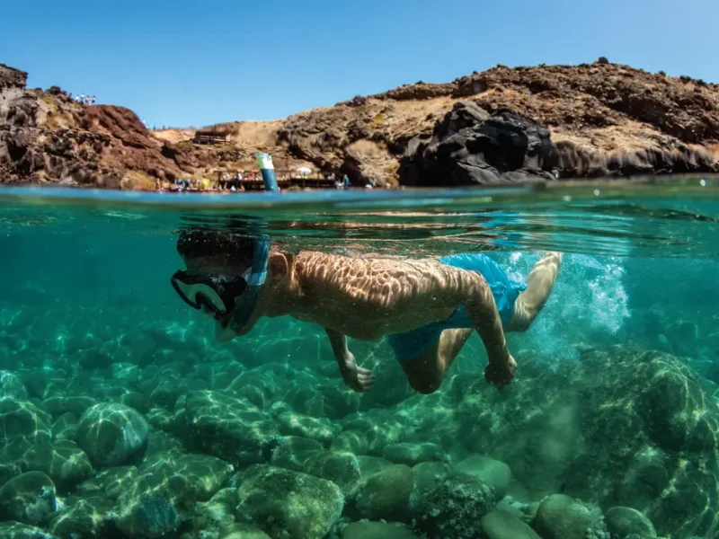 A man Snorkelling in the sea of Ponta de São Lourenço, an experience by Madeira Sea Emotions.