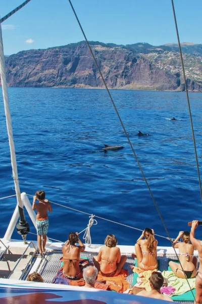 People on a catamaran watching dolphins swim in the sea, an experience by VMT Madeira.